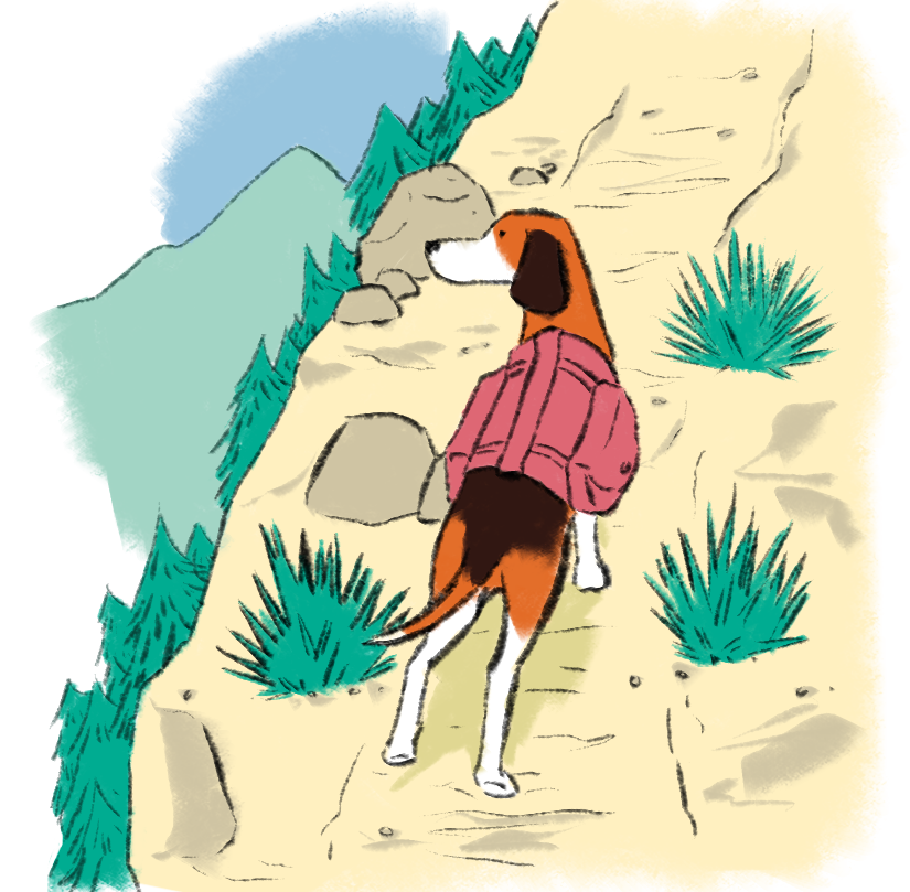 Illustration shows dog with coat standing on mountainside - hero image for Standard Beagle - the AI UX agency